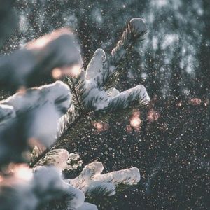 Meet your Posher, Ciera